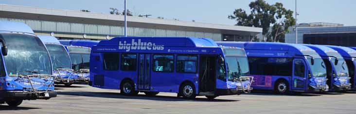 Big Blue Bus Gillig BRT CNG 29 1603